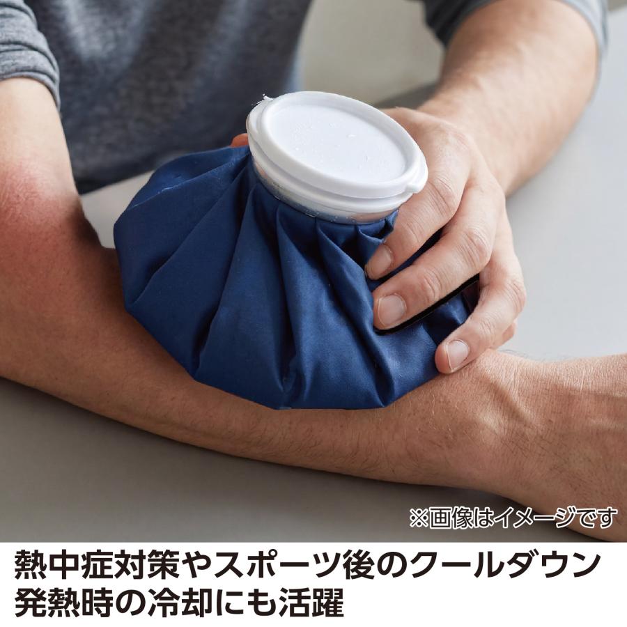 氷のう アーテック 夏用 ひんやり 熱中症対策 氷嚢 アイスバッグ 冷却グッズ スポーツ スポーツケア クールダウン 暑さ対策 夏 アウトドア レジャー 運動会 |  | 03