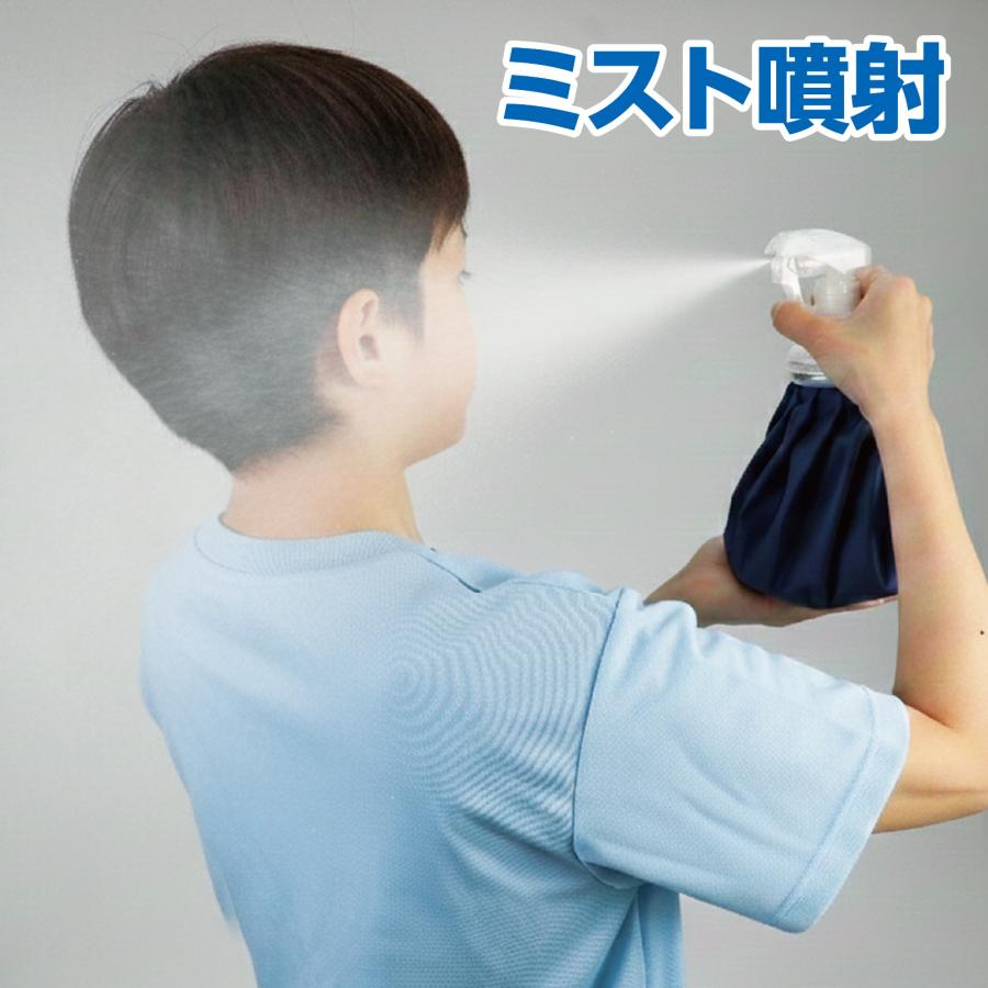スプレー付 氷のう アーテック 夏用 ひんやり 熱中症対策 氷嚢 アイスバッグ 冷却グッズ スポーツ スポーツケア クールダウン 暑さ対策 夏 アウトドア 運動会 |  | 04