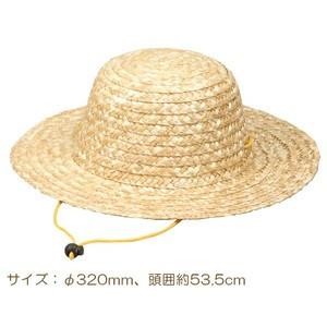 麦わらぼうし ミニ アーテック 運動会 発表会 演技 ダンスグッズ 体育祭 小学校 小学生 幼稚園 保育園 子供用 子ども キッズ 麦わら帽子 |  | 01