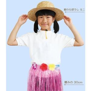 麦わらぼうし ミニ アーテック 運動会 発表会 演技 ダンスグッズ 体育祭 小学校 小学生 幼稚園 保育園 子供用 子ども キッズ 麦わら帽子 |  | 02