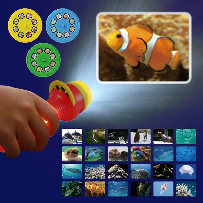 うみのいきものプロジェクター 　アーテック 海 魚 生き物 観察 壁 家 学習 小学校 小学生 |  | 06