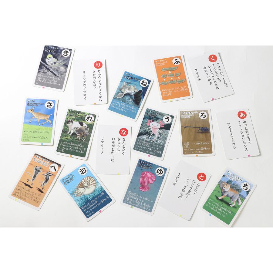 変ないきものかるた (5個までメール便可) アーテック かるた お正月 カードゲーム 変な生き物 不思議 生物 動物 珍しい 幼稚園 保育園 子ども |  | 03