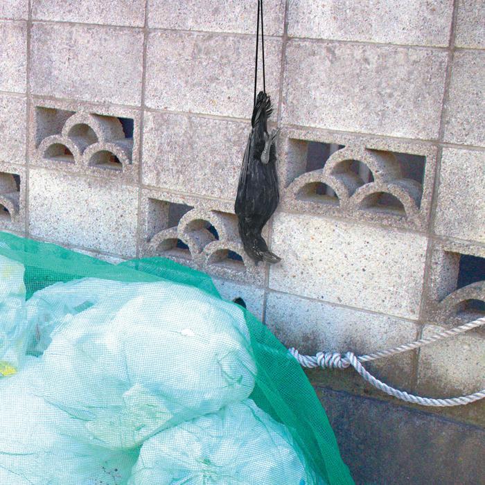 防鳥用吊り下げカラス アーテック 防犯 防災 光る 夜間 交通 パトロール 点灯 点滅 学校 |  | 02