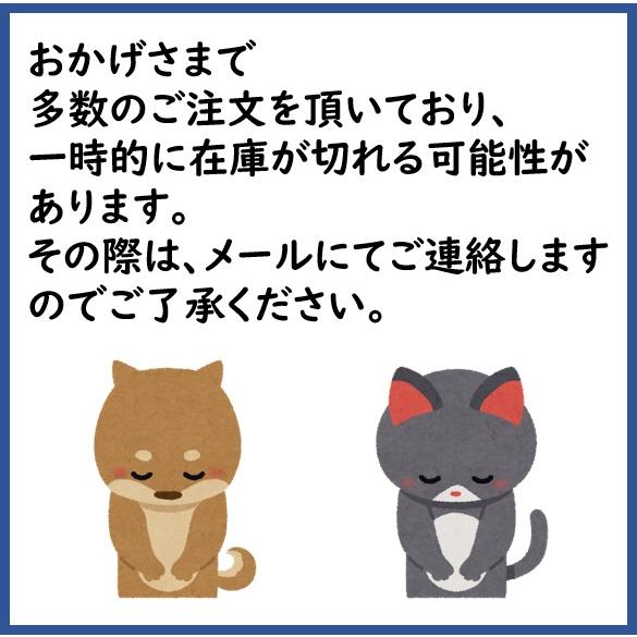 3枚入り ひんやりUVカットマスク(6個までメール便可) 2色から選択 アーテック 夏用 ひんやり 洗える 大人用 冷感 日焼け |  | 05