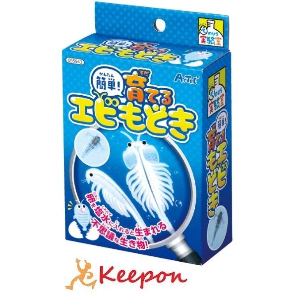 実験キット 小学校 簡単！育てるエビモドキ(4個までメール便可) 夏休み