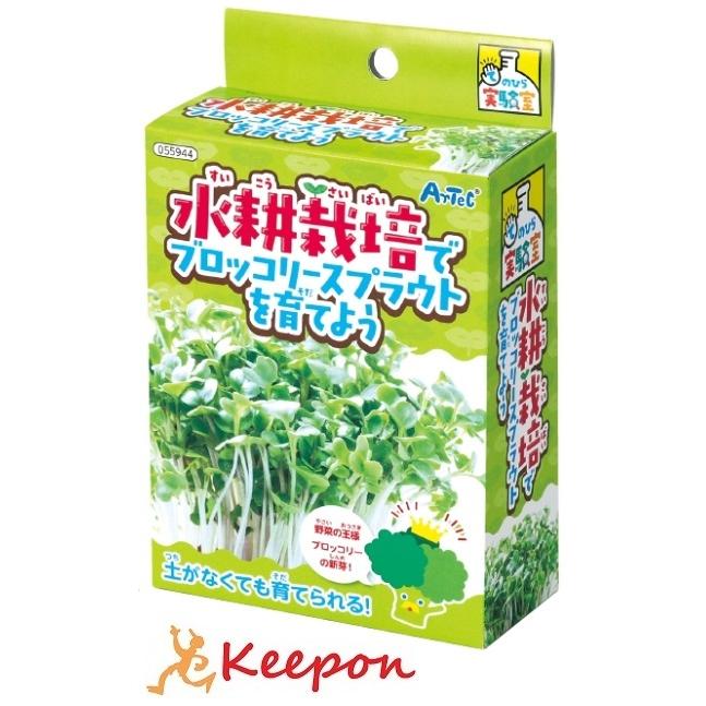 実験キット 小学校 水耕栽培でブロッコリースプラウトを育てよう アーテック 夏休み自由研究 手作り 男の子 女の子 てのひら実験室 栽培キット 野菜 家 自宅 | 