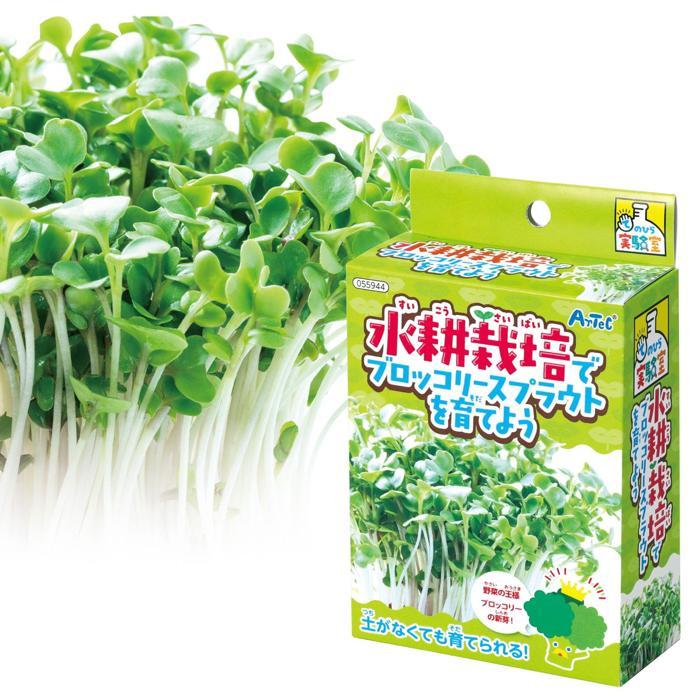 実験キット 小学校 水耕栽培でブロッコリースプラウトを育てよう アーテック 夏休み自由研究 手作り 男の子 女の子 てのひら実験室 栽培キット 野菜 家 自宅 |  | 01