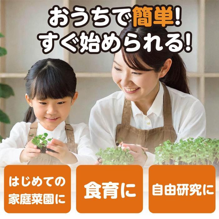 実験キット 小学校 水耕栽培でブロッコリースプラウトを育てよう アーテック 夏休み自由研究 手作り 男の子 女の子 てのひら実験室 栽培キット 野菜 家 自宅 |  | 02