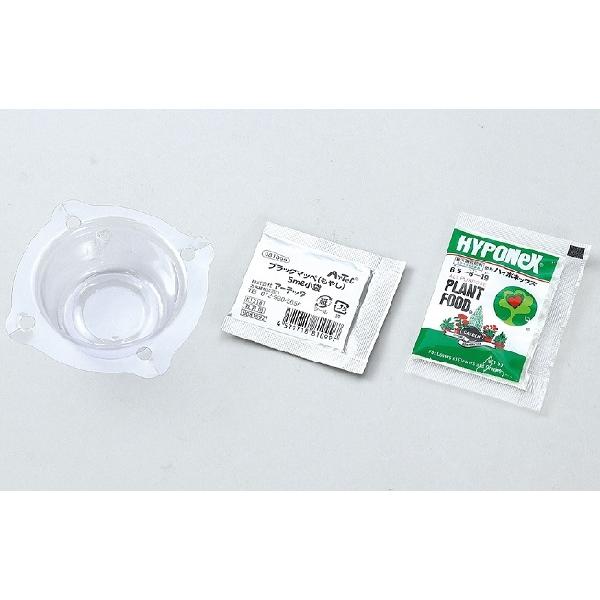 実験キット 夏休み 水耕栽培で育てる黒豆もやし アーテック 工作 夏休み 自由研究 実験 実験キット 手作り 男の子 女の子 てのひら実験室 もやし 手作り 家 |  | 01