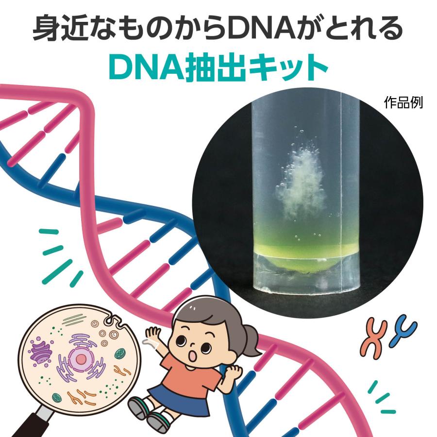 1日で終わる自由研究キット 生命の設計図!?DNA抽出 アーテック 夏休み工作 冬休み 女の子 男の子 クラフト ハンドメイド ワークショップ 小学生 |  | 01