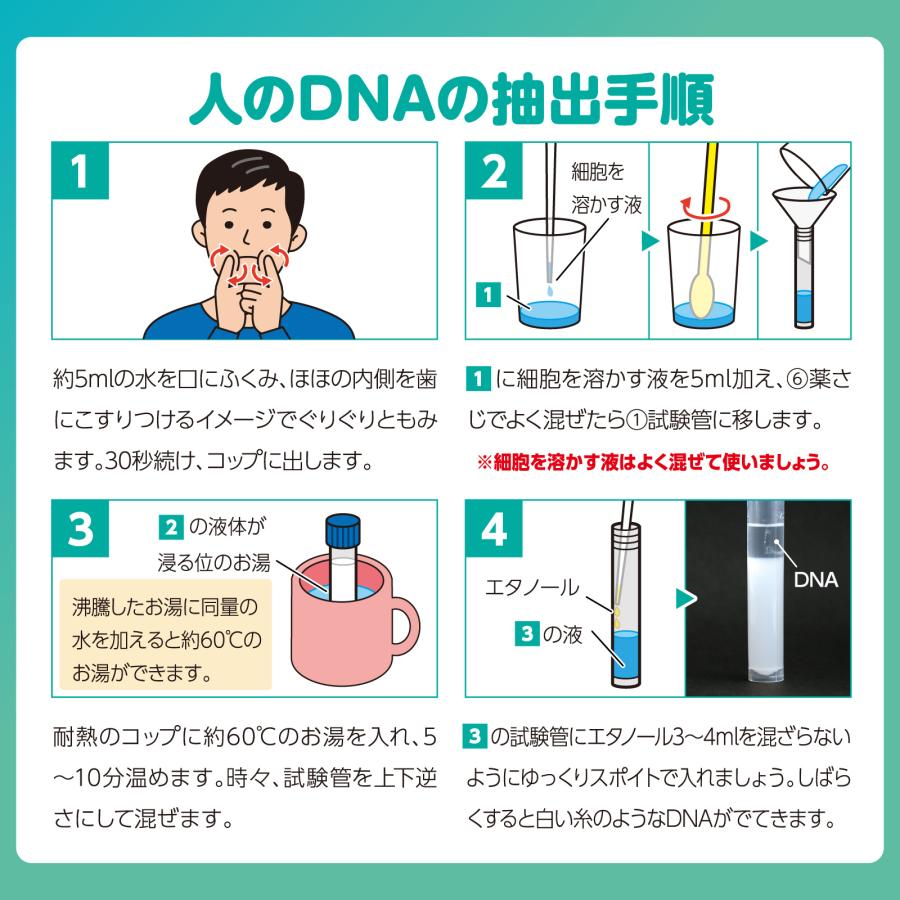 1日で終わる自由研究キット 生命の設計図!?DNA抽出 アーテック 夏休み工作 冬休み 女の子 男の子 クラフト ハンドメイド ワークショップ 小学生 |  | 02