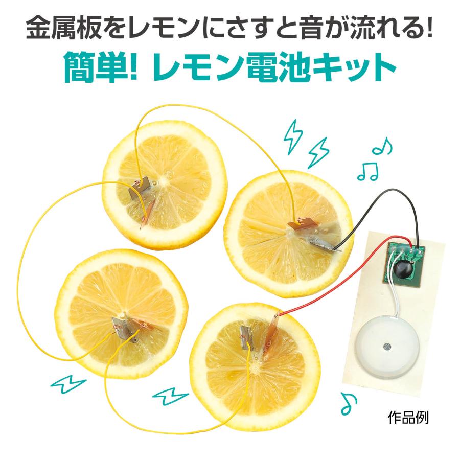 1日で終わる自由研究キット 簡単！レモン電池 アーテック 夏休み工作 冬休み 女の子 男の子 クラフト ハンドメイド ワークショップ 小学生 |  | 01