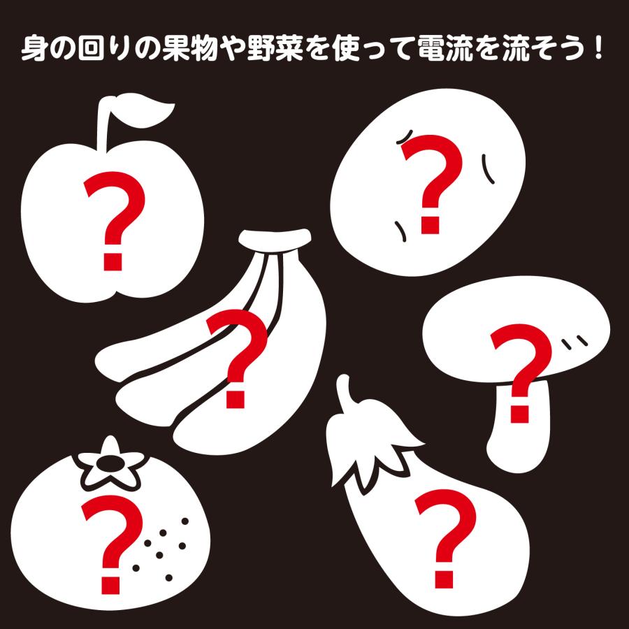 1日で終わる自由研究キット 簡単！レモン電池 アーテック 夏休み工作 冬休み 女の子 男の子 クラフト ハンドメイド ワークショップ 小学生 |  | 07
