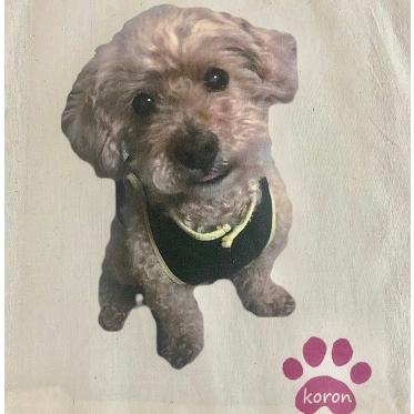 【10個から注文可能】マイエコバッグ (A4プリント) 加工費込 卒業 入学 記念品 オリジナル 写真 折り畳み エコバック プリント 名入れ レジ袋 エコバッグ |  | 04