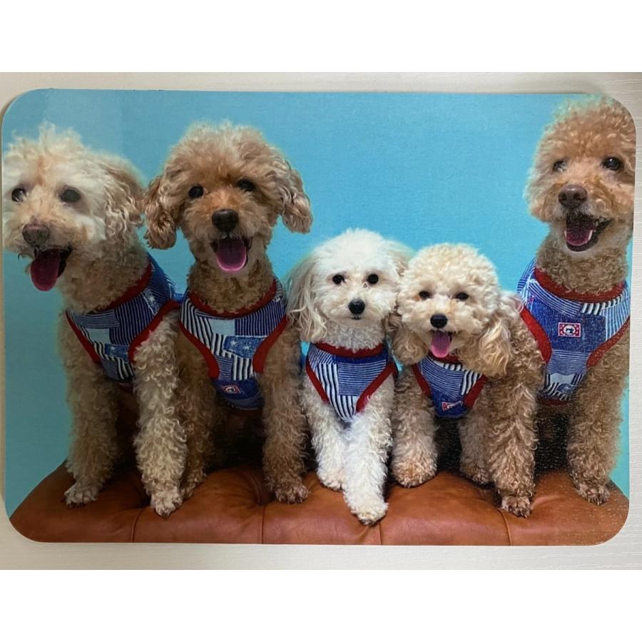 【10個から注文可能】マイマウスパッド 加工費込 卒業 入学式 入園 記念品 プレゼント ギフト オリジナル 写真 名入れ アーテック 母の日 父の日 |  | 01