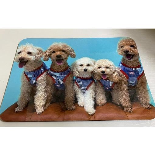 【10個から注文可能】マイマウスパッド 加工費込 卒業 入学式 入園 記念品 プレゼント ギフト オリジナル 写真 名入れ アーテック 母の日 父の日 |  | 02