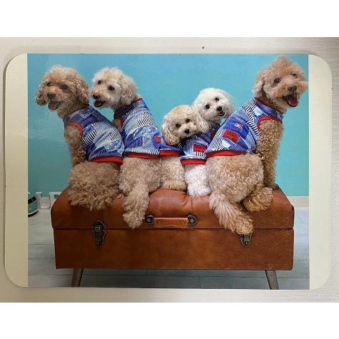 【10個から注文可能】マイマウスパッド 加工費込 卒業 入学式 入園 記念品 プレゼント ギフト オリジナル 写真 名入れ アーテック 母の日 父の日 |  | 03