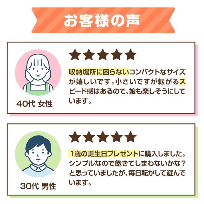 木製コロコロスラローム アーテック 知育玩具 木のおもちゃ 木製玩具 スロープ ラッピング プレゼント アーテック 幼児 |  | 09