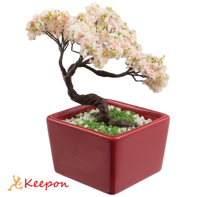 ミニ盆栽キット MINIBON 桜 アーテック 工作 夏休み 自由研究 実験