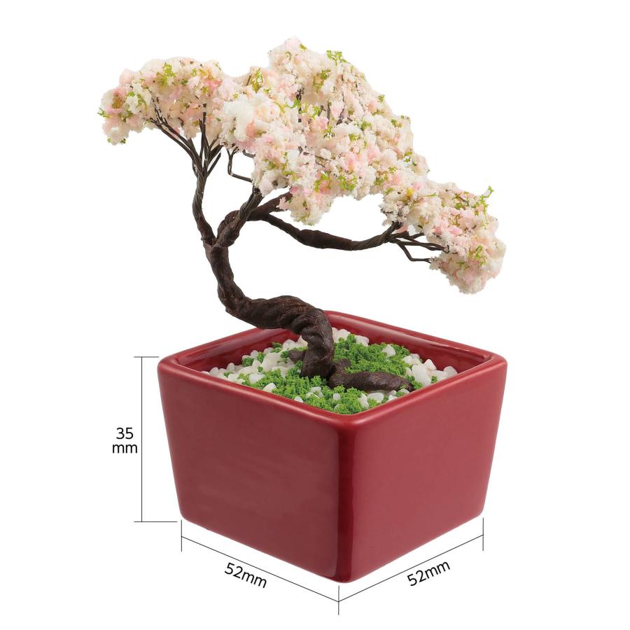 ミニ盆栽キット MINIBON 桜 アーテック 工作 夏休み 自由研究 実験