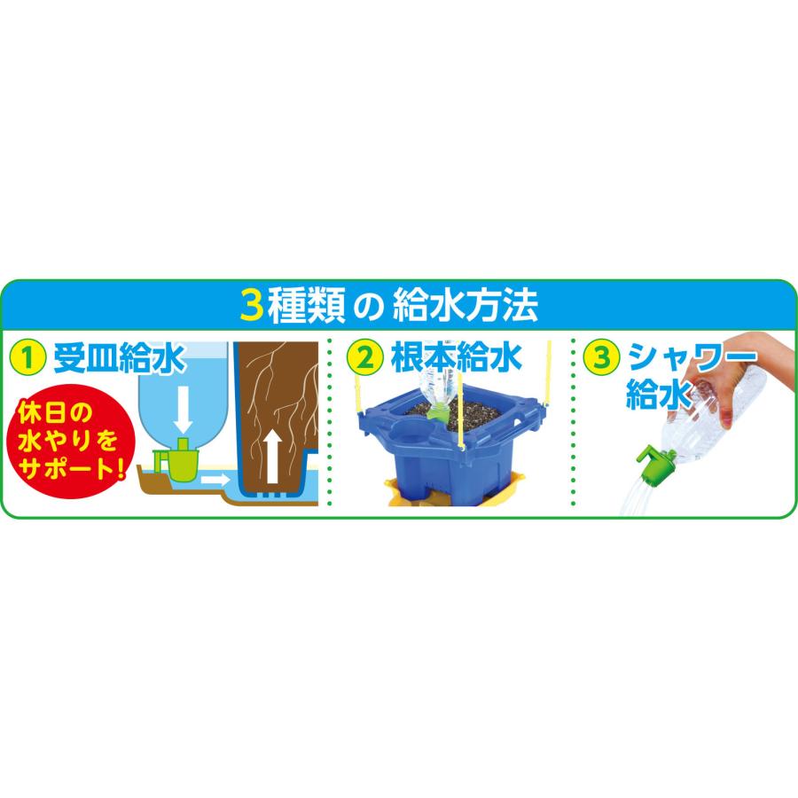 マルチラクラク給水あさがお支柱なし Fセット アーテック 朝顔セット 朝顔 あさがお 栽培セット 種まきセット 種 土 肥料 鉢植え 給水 簡単水やり |  | 04