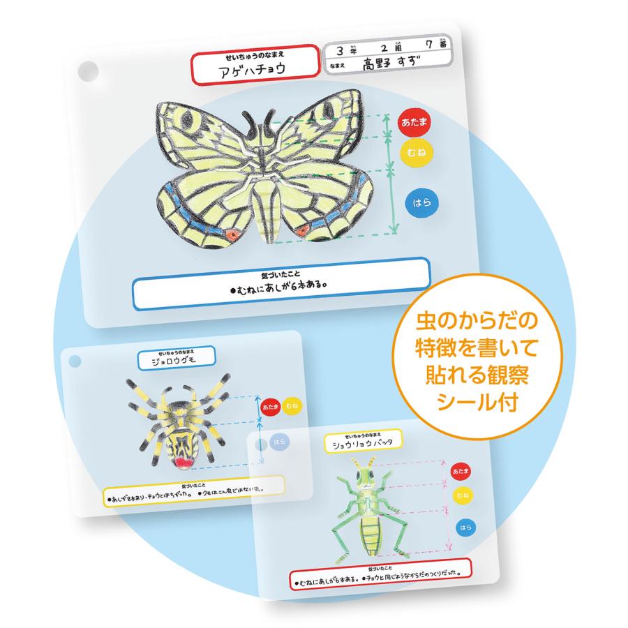 昆虫観察図鑑づくり　(メール便可) 　夏休み 工作キット 理科 クラフト 冬休み 小学校 中学校 教材 イベント ワークショップ |  | 01