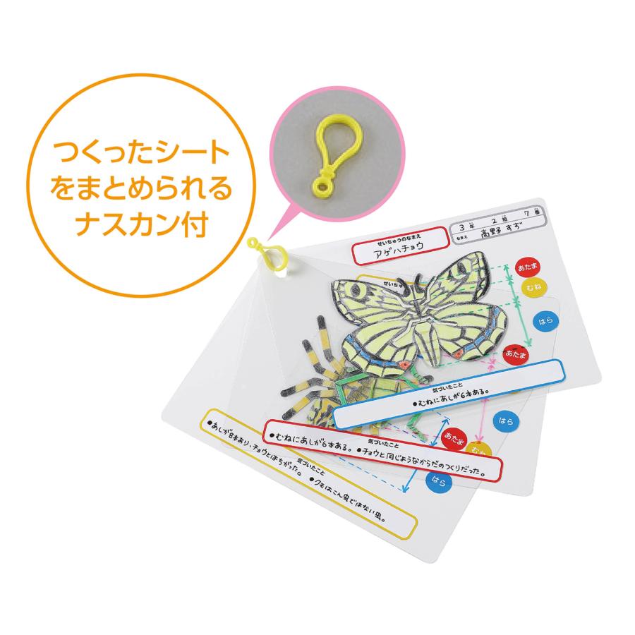 昆虫観察図鑑づくり　(メール便可) 　夏休み 工作キット 理科 クラフト 冬休み 小学校 中学校 教材 イベント ワークショップ |  | 02