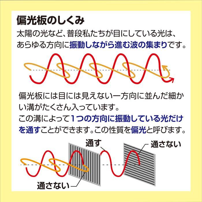 偏光板(10枚組) (メール便可能) アーテック 科学 実験 小学校 子ども 学校 |  | 03