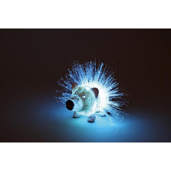 ペットボトルでつくる光ファイバーアート 2個までメール便可能 アーテック 手作り 夏休み 工作 自由研究 女の子 男の子 クラフト 貯金箱 ペットボトル 小学生 キープオンyahoo ショップ 通販 Yahoo ショッピング