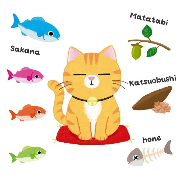 2人対戦ゲーム ねこまねき(4個までメール便可) アーテック カードゲーム 小学生 幼稚園 子ども おもしろ お正月 猫 ネコ かわいい 子供 |  | 01