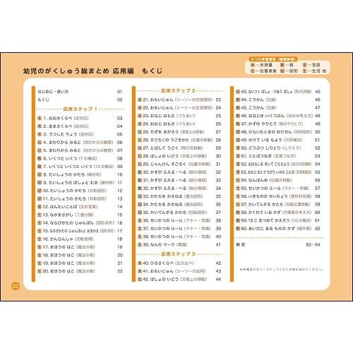 100てんキッズ ドリル 幼児のがくしゅう総まとめ 応用編 (2冊まで