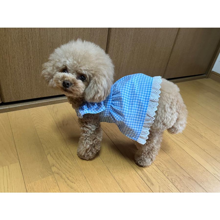 ブルーギンガムチェック サマードレス 夏 犬 小型犬 可愛い かわいい 手作り 女の子 ハッピーライフ UVカット ダックスフンド |  | 04