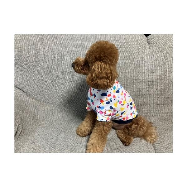 ドッグウェア ドット柄Ｔシャツ半袖 夏 犬 小型犬 可愛い かわいい 手作り 男の子 女の子 ハッピーライフ UVカット |  | 02