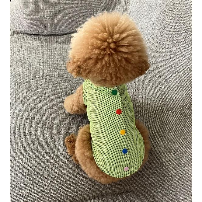 ドッグウェア リブタンクトップ 後ろボタン(グリーンメッシュ) ひんやり 冷感 夏 熱中症対策 犬 小型犬 可愛い かわいい 手作り 男の子 女の子 |  | 06