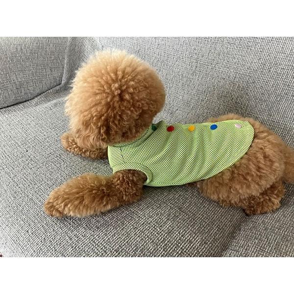ドッグウェア リブタンクトップ 後ろボタン(グリーンメッシュ) ひんやり 冷感 夏 熱中症対策 犬 小型犬 可愛い かわいい 手作り 男の子 女の子 |  | 07