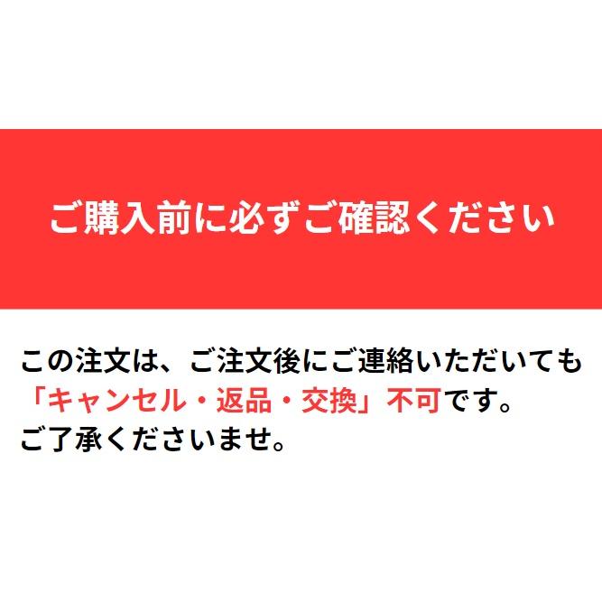 スナッグゴルフ ランチャー ショット用クラブ 基本 子どもから大人まで