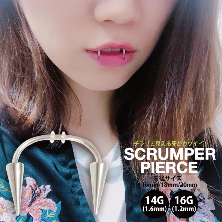 ピアス　No.4976 スクランパー ピアス ボディピアス 16G(1.2mm) 14G(1.6mm) ステンレス