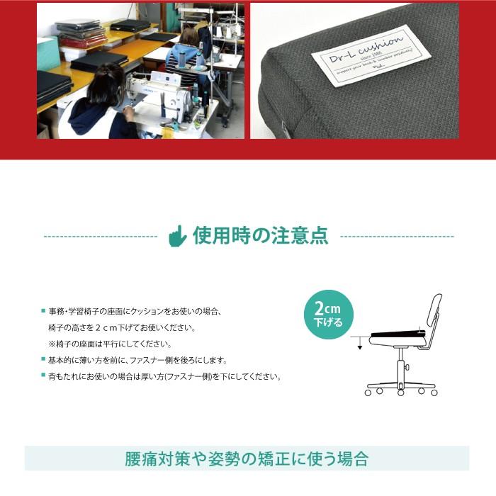 ポイント2倍 NEW ドクターエルクッション 送料無料 ブラック ブラウン カーキ 腰痛対策 | ドクターエル | 11