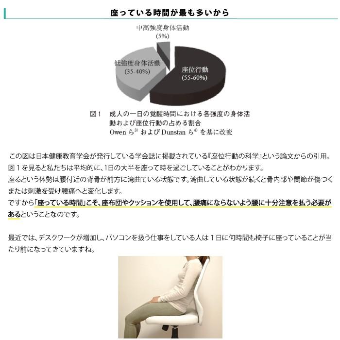 ポイント2倍 NEW ドクターエルクッション 送料無料 ブラック ブラウン カーキ 腰痛対策 | ドクターエル | 03