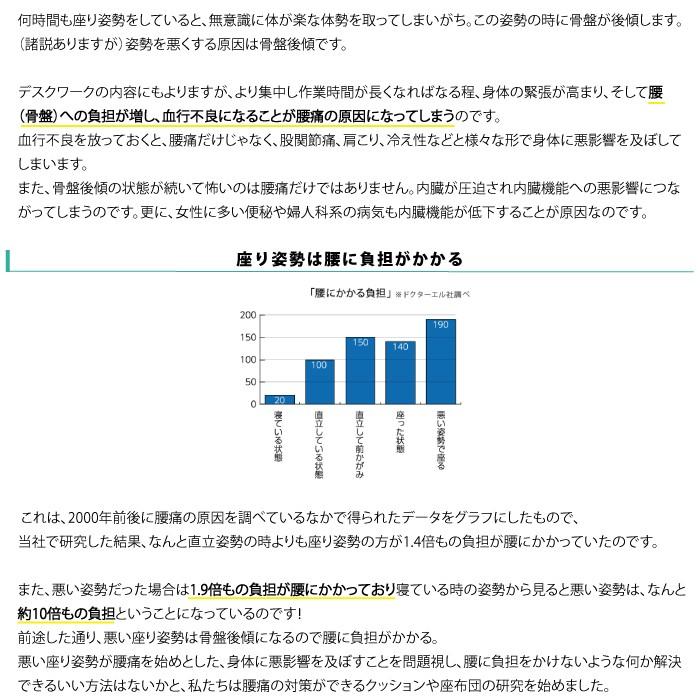ポイント2倍 NEW ドクターエルクッション 送料無料 ブラック ブラウン カーキ 腰痛対策 | ドクターエル | 04