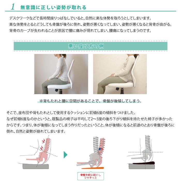 ポイント2倍 NEW ドクターエルクッション 送料無料 ブラック ブラウン カーキ 腰痛対策 | ドクターエル | 06