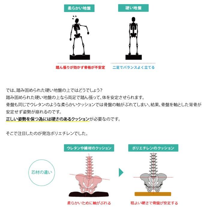 ポイント2倍 NEW ドクターエルクッション 送料無料 ブラック ブラウン カーキ 腰痛対策 | ドクターエル | 08