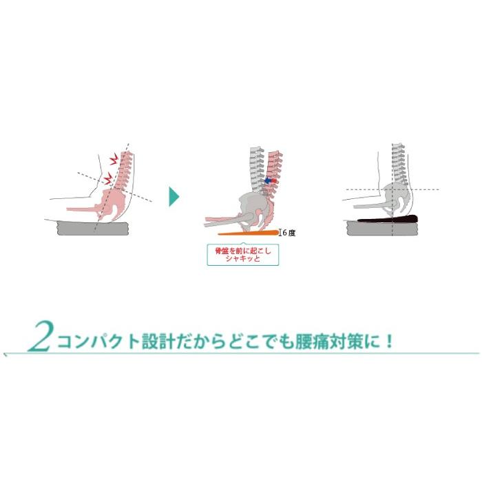ポイント2倍 腰痛対策 姿勢矯正 クッション ドクターエル マルチレストクッションミニ ブラック・ブルー・ピンク・イエロー 送料無料 | ドクターエル | 04
