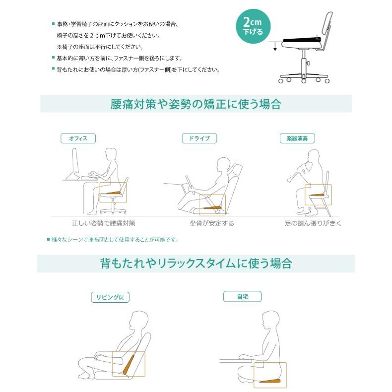 ポイント2倍 腰痛対策 姿勢矯正 クッション ドクターエル マルチレストクッションミニ ブラック・ブルー・ピンク・イエロー 送料無料 | ドクターエル | 07