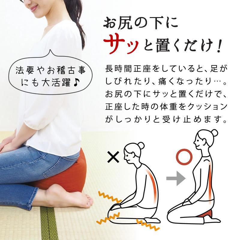 整体師さんが推奨する 正座クッション ごろ寝 まくら 正座が楽になる クッション 約20x20x20cm 彩転 SAIKORO サイコロ 日本製 正座 ごろ寝 パイプ |  | 01