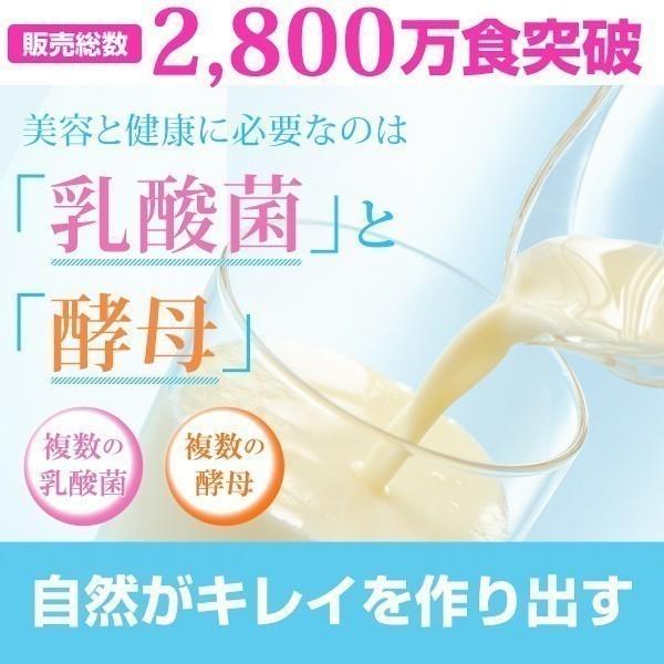 ケフィア ヨーグルト 種菌 オリジナルケフィア 16包 ケフラン 送料無料 ケフィアヨーグルト 菌 たね菌 乳酸菌 酵母 豆乳 牛乳｜kefran-yshop｜02