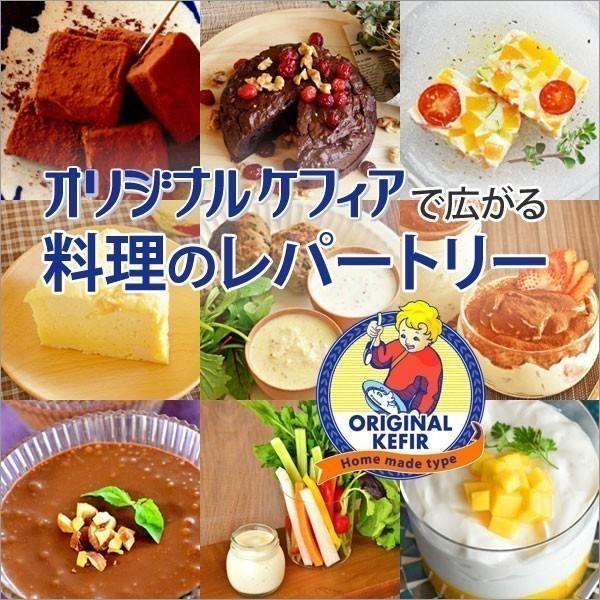 ケフィア ヨーグルト 種菌 オリジナルケフィア 16包 ケフラン 送料無料 ケフィアヨーグルト 菌 たね菌 乳酸菌 酵母 豆乳 牛乳｜kefran-yshop｜14