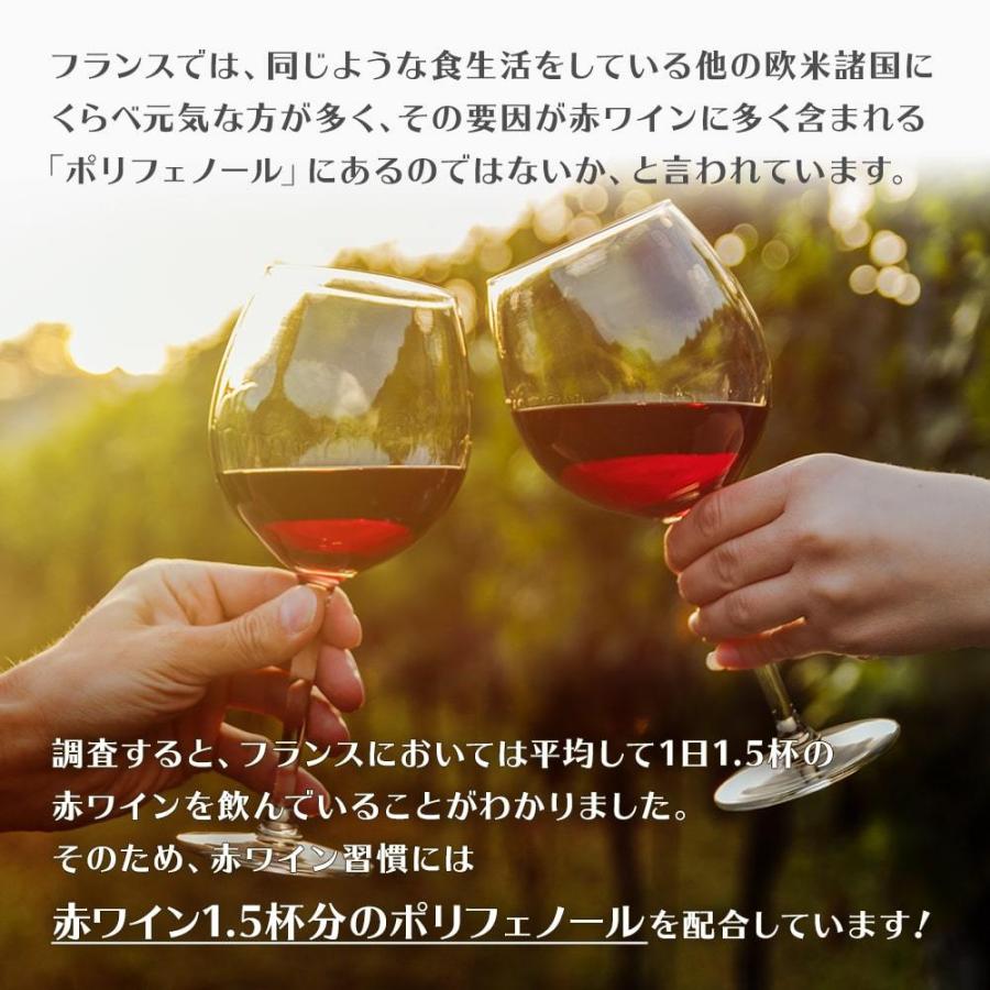 ポリフェノール 赤ワイン習慣 ケフラン まとめ買い8％OFF 5袋(5か月分) ノンアルコール レスベラトロール エイジングケア｜kefran-yshop｜10