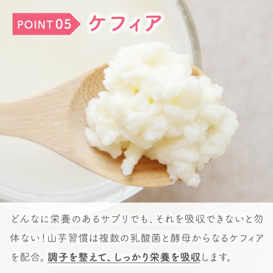 ケフラン 葉酸サプリ 妊娠前 山芋習慣 1か月分 国内製造 ヘム鉄 乳酸菌