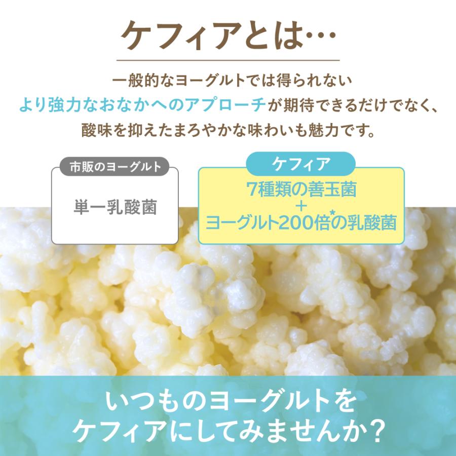 ケフラン ケフィア ヨーグルト 種菌 オリジナルケフィア スターター